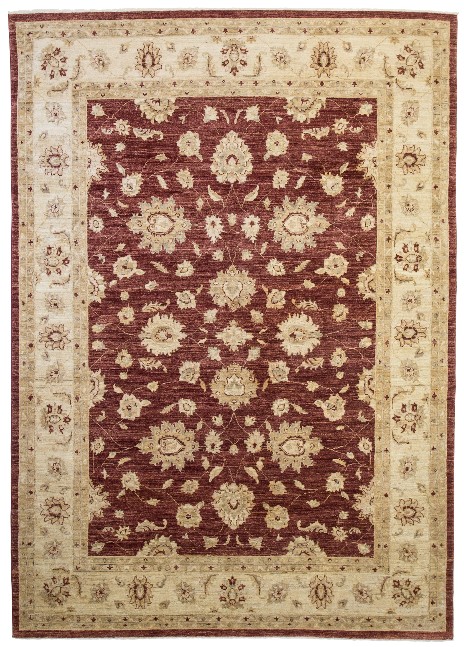 Matta Ziegler - 243x348
