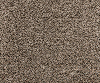 Heltäckningsmatta Kashmir - Fast bredd 400 cm Brun