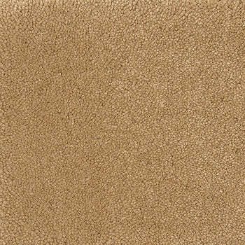 Vega One Color - Fria mått